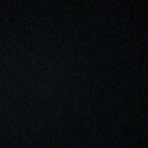 Meet your Posher, Cheyenne